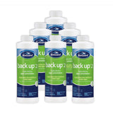 BioGuard Back Up 2 Algicide (1 qt)