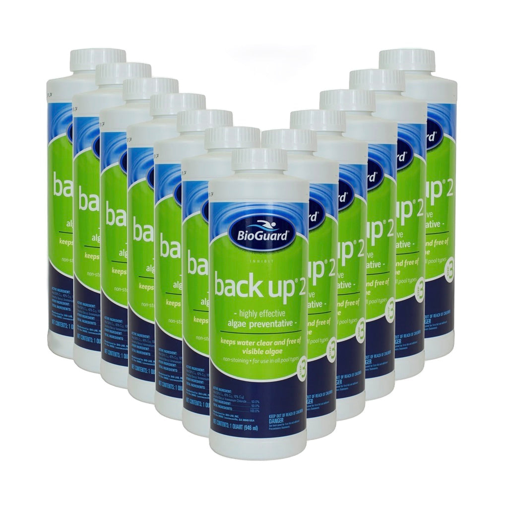 BioGuard Back Up 2 Algicide (1 qt)