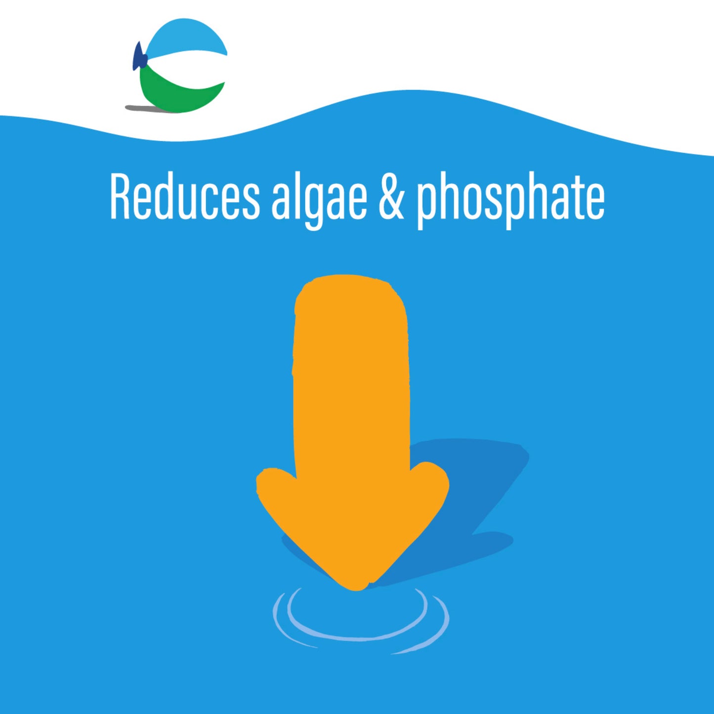 Poolife AlgaePhos Algaecide (1 qt)