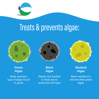 Poolife Defend+ Algaecide (1 qt)
