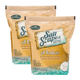 BioGuard SaltScapes pH Reducer (8 lb)