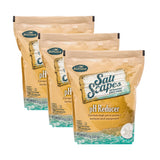 BioGuard SaltScapes pH Reducer (8 lb)