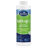 BioGuard Back Up 2 Algicide (1 qt)