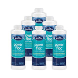 BioGuard Powerfloc (1 qt)