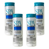 Spa Essentials Chlorinating Concentrate (2 lb)