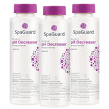 SpaGuard pH Decreaser (22 oz)