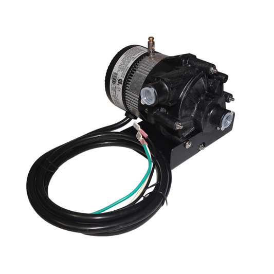 Sundance® Spas Circulation Pump 230V, 50/60Hz (6000-125E)